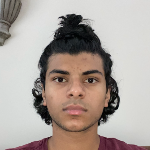 Arnav Wasadikar