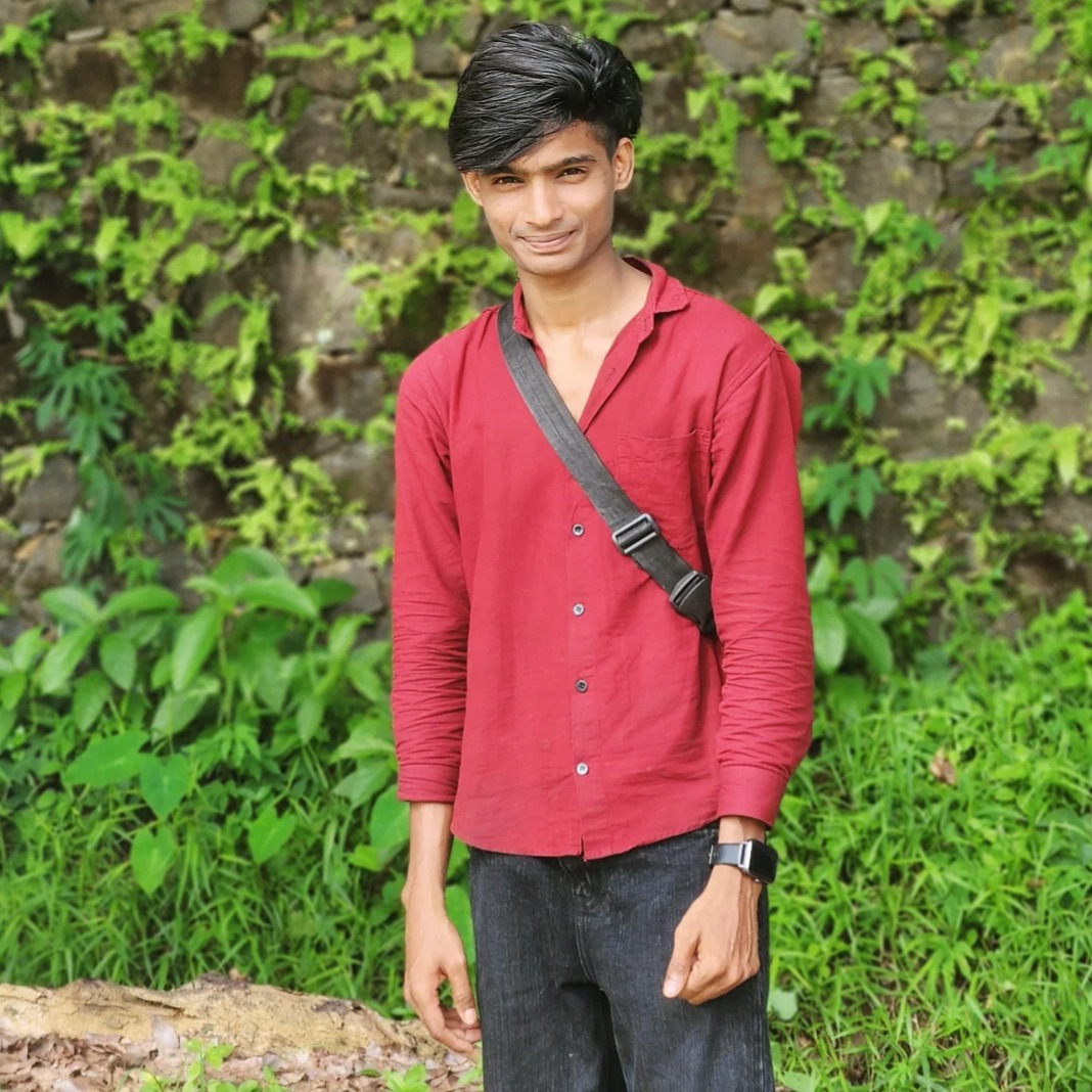 Ameer Hussain