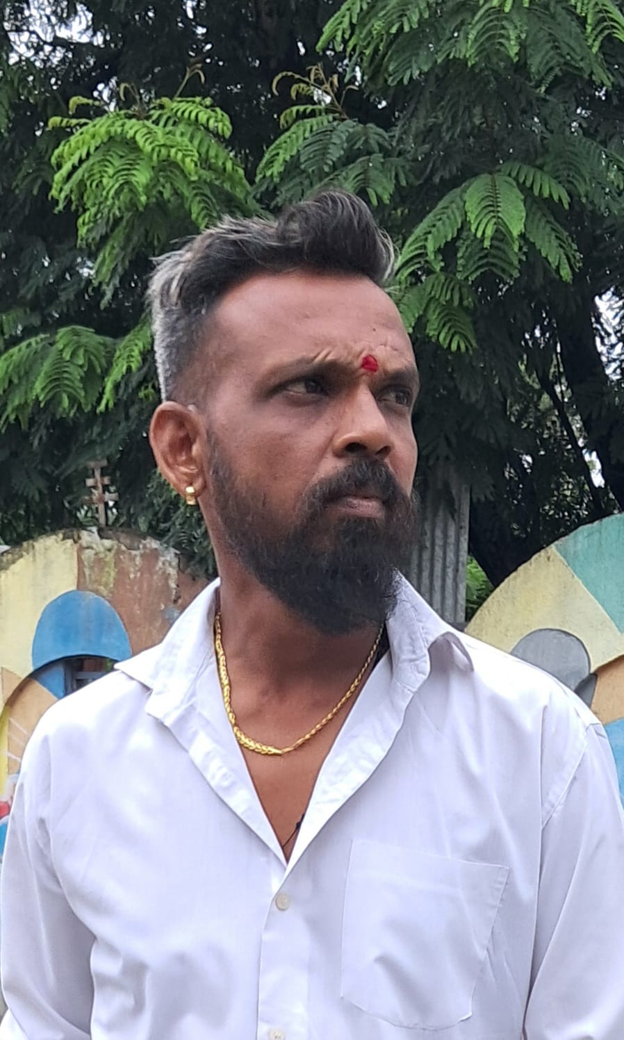 Raju mashalkar
