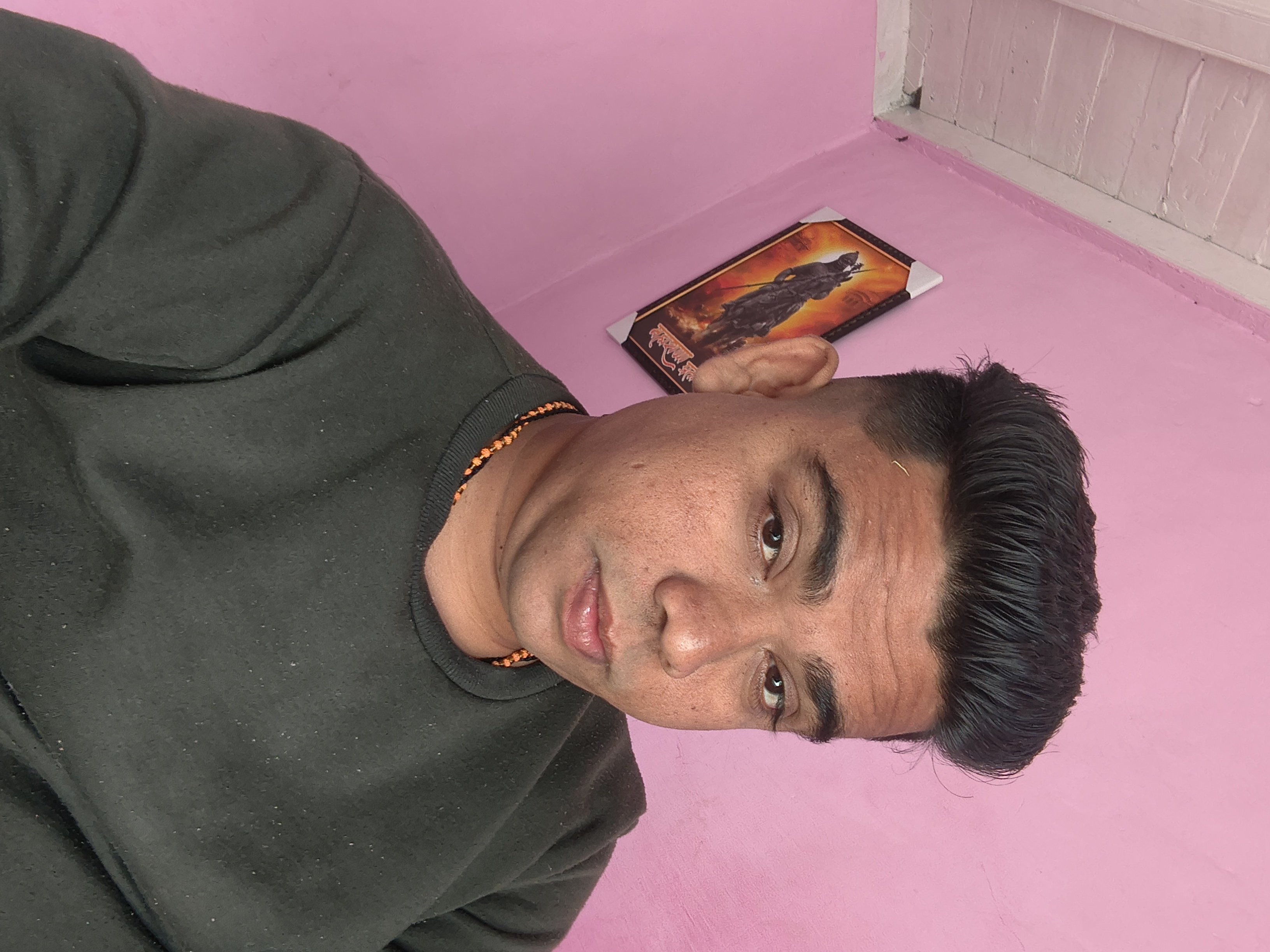 Gaur Mayur