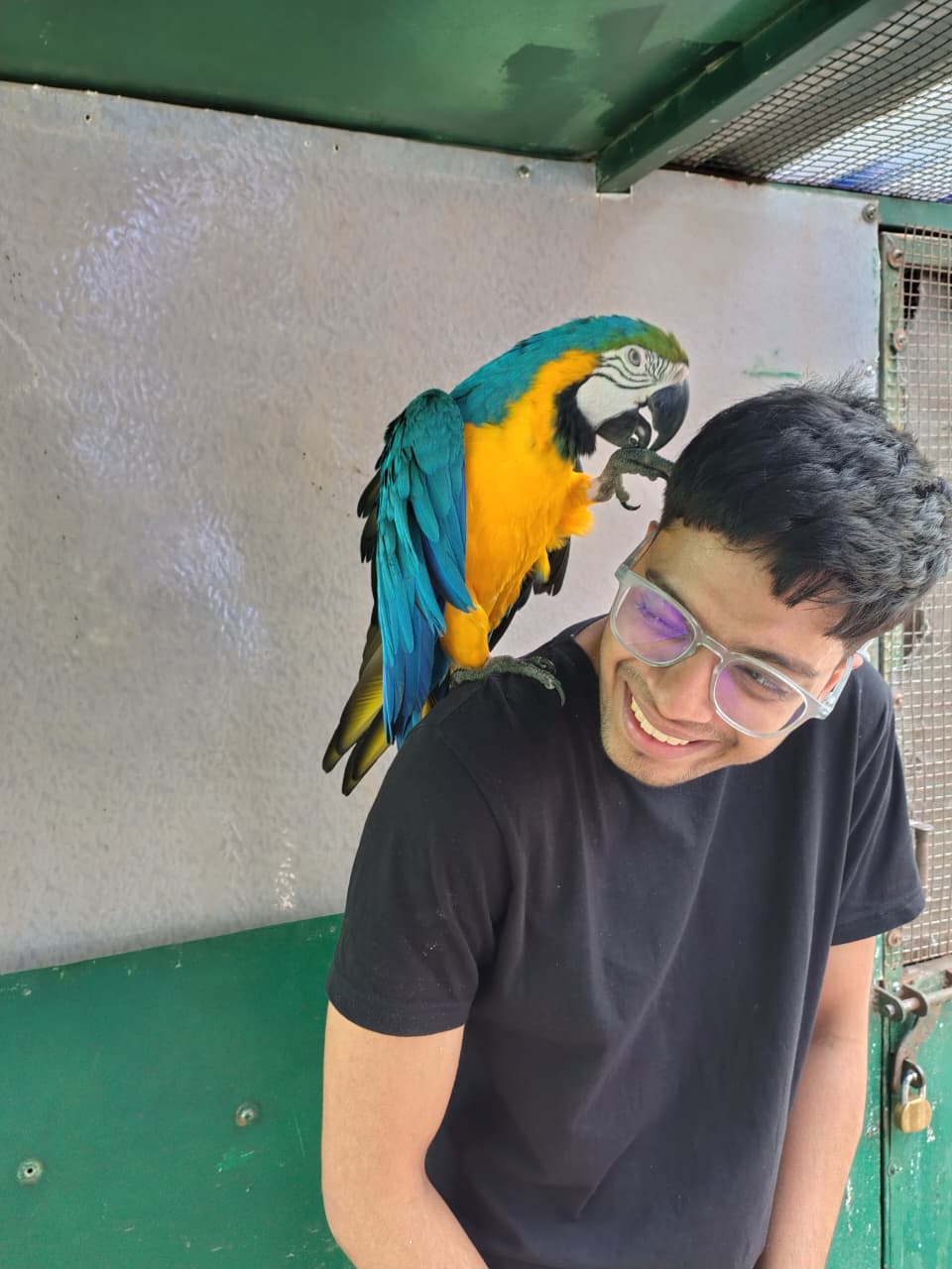 Ayush Tibrewala