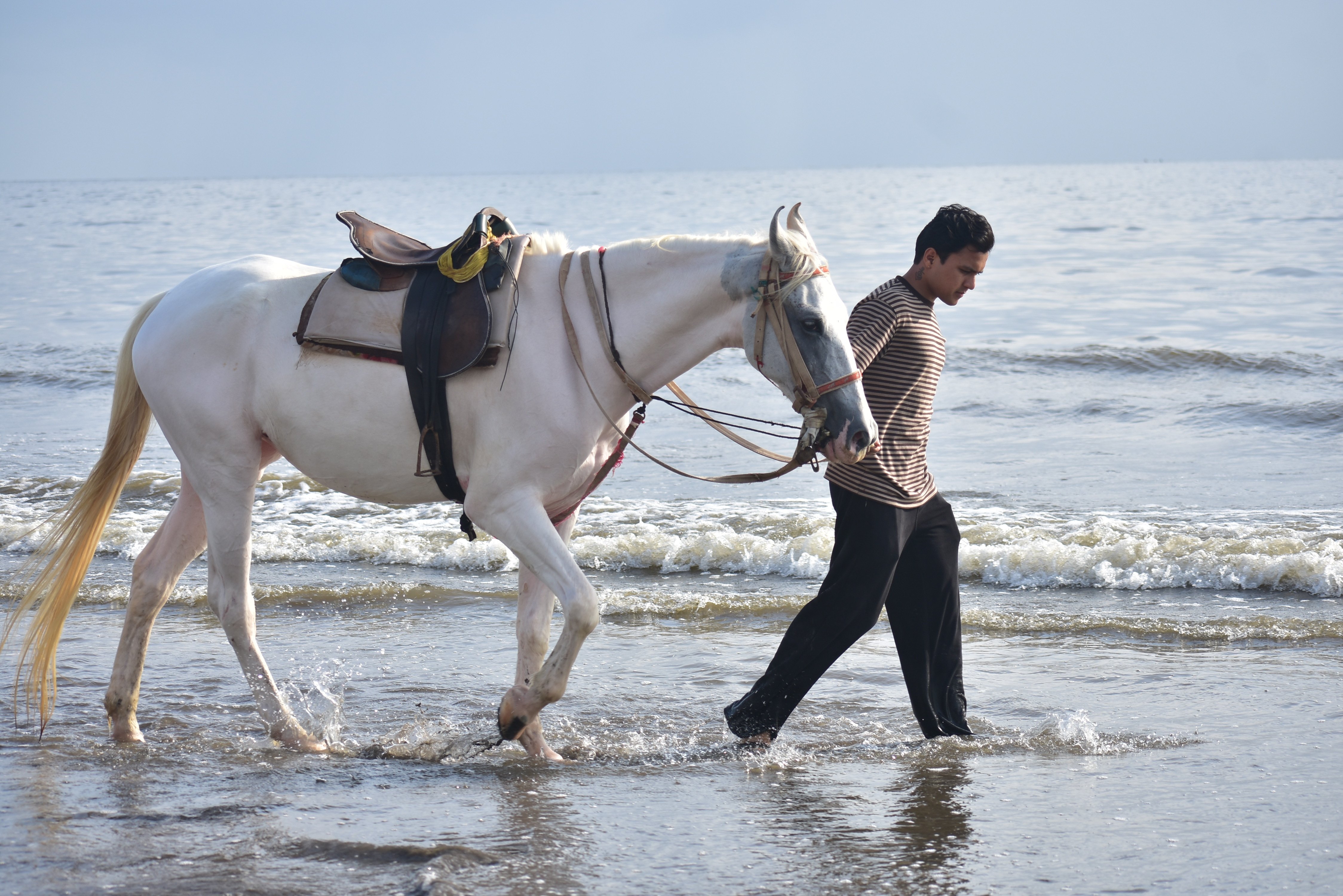 Raj thakur Thakur