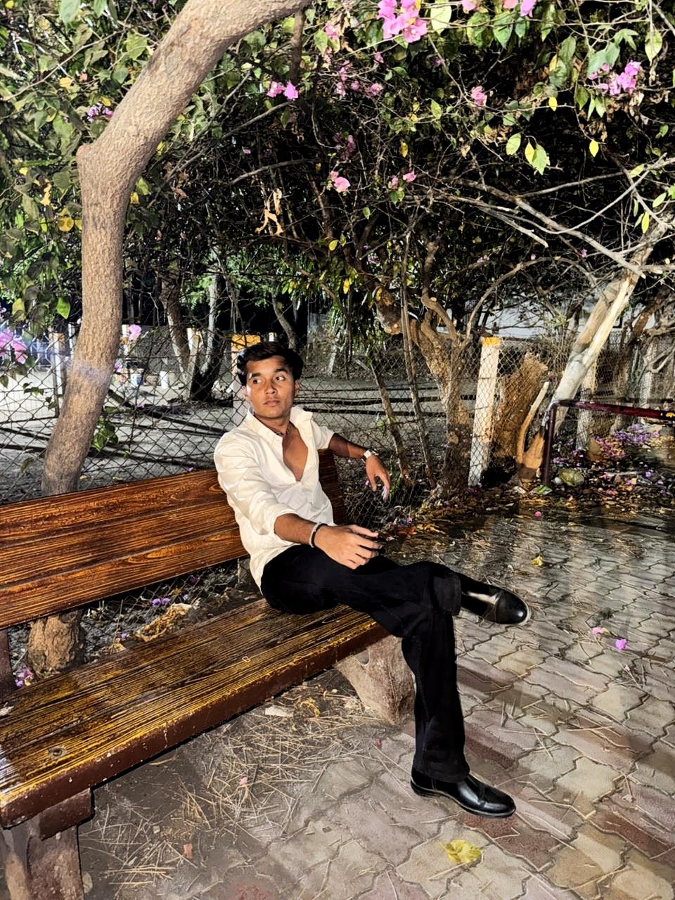 Parth Chavahan
