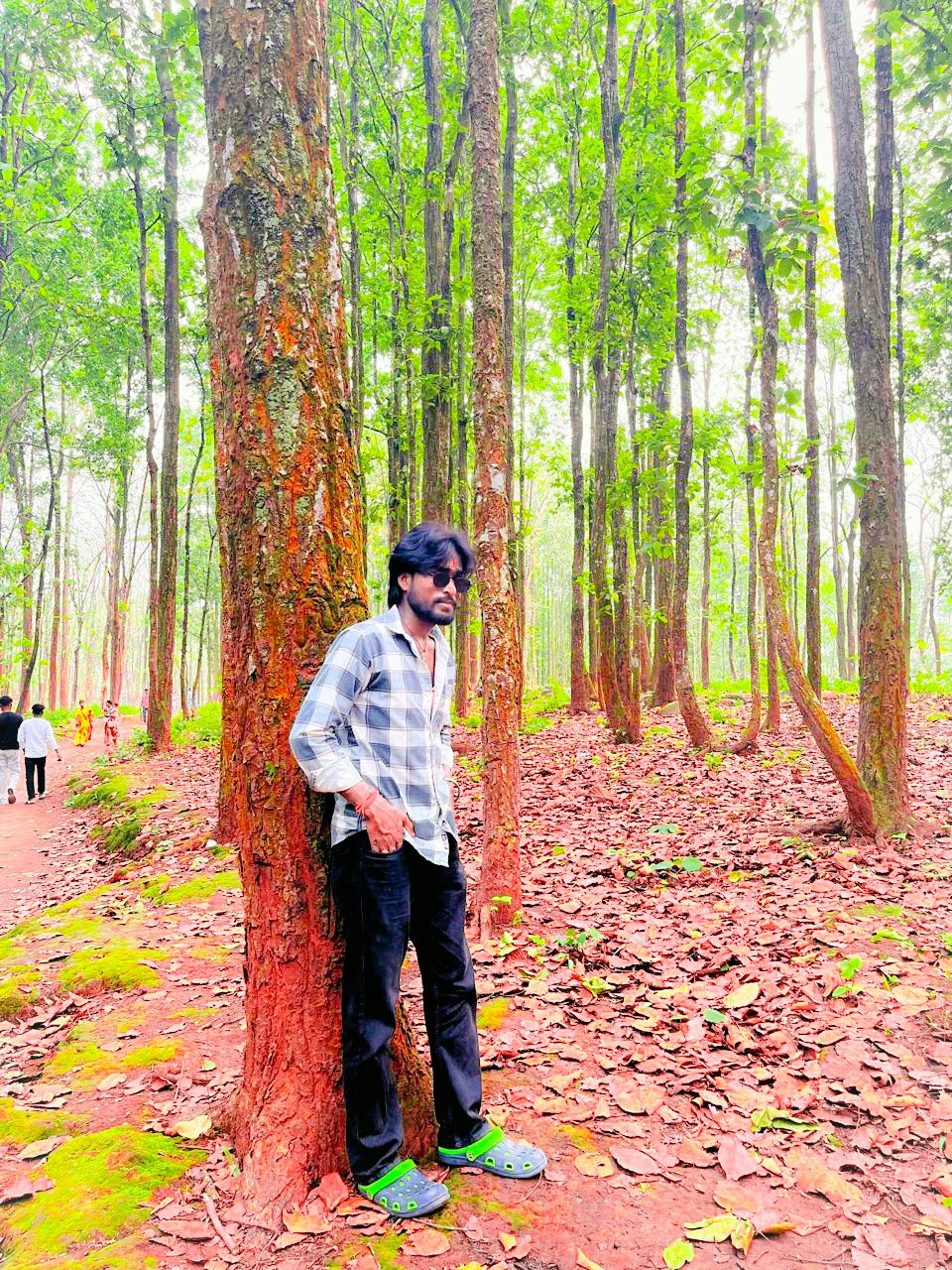 Dipak Roy